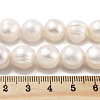 Natural Cultured Freshwater Pearl Beads Strands PEAR-C003-21C-5