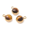 Natural Tiger Eye Charms G-K325-01G-01-1