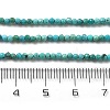 Natural HuBei Turquoise Beads Strands G-B130-A01-01-4