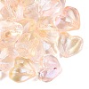 Baking Paint Transparent Glass Beads DGLA-N022-02G-1