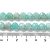 Natural Amazonite Beads Strands G-J400-E11-07A-5