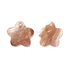 Sea Shell Pendants SSHEL-C008-13-2