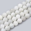 Natural Rainbow Moonstone Beads Strands G-S333-10mm-002-1