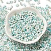 Baking Paint Glass Seed Beads SEED-F005-01A-01-2