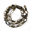 Natural White Shell Beads Strands SHEL-N036-21-3