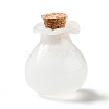 Lucky Bag Shape Glass Cork Bottles Ornament AJEW-A039-02E-1