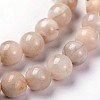 Round Natural Crazy Lace Agate Beaded Strands G-L374-01-12mm-1