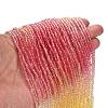 Transparent Painted Glass Beads Strands DGLA-A034-T2mm-A07-2