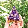 Natural Amethyst Display Decorations PW-WG53E4D-01-1