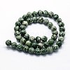 Natural Green Spot Jasper Beads Strands X-G-I199-30-12mm-2