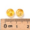 Transparent Acrylic Beads OACR-Z030-04I-3