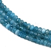 Natural Apatite Beads Strands G-P553-F02-01-4