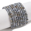 Natural Freshwater Shell Beads Strands SHEL-P017-01A-13-1