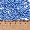 Baking Paint Glass Seed Beads SEED-K009-01A-19-4