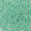 8/0 Glass Seed Beads SEED-A015-3mm-2219-2