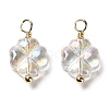 Glass Charms KK-M266-08G-2