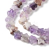 Natural Amethyst Beads Strands G-G085-B51-02-4