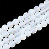 Opalite Beads Strands G-T106-340-1