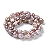 Natural Cultured Freshwater Pearl Beads Strands PEAR-Z002-31-2