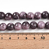 Baking Paint Glass Beads Strands DGLA-N003-10mm-C09-5