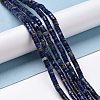 Natural Sodalite Beads Strands G-P468-19-2