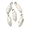 Natural Howlite Pendants G-Z067-07P-07-1