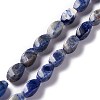 Natural Sodalite Beads Strands G-L243B-18-1