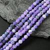 Natural Weathered Agate Beads Strands G-G589-6mm-06-1