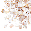   200Pcs Natural Freshwater Shell Beads BSHE-PH0001-25-1