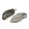 Natural Labradorite Big Pendants G-K338-32P-2