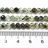 Natural Prehnite Beads Strands G-G161-A12-03-5