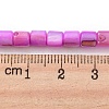 Natural Freshwater Shell Beads Strands SHEL-F008-04-5