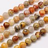 Natural Crazy Agate Beads Strands G-G542-10mm-10-1