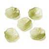 Glass Beads GLAA-Q095-01E-1