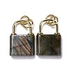 Natural Labradorite Pendants G-P453-01G-K-RS-2