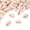 Fashewelry Natural Cowrie Shell Beads BSHE-TA0001-01-12