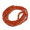 Natural South Red Agate Beads Strands G-B090-A04-01-3