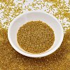 MIYUKI Delica Beads SEED-X0054-DB2372-2