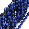 Natural Kyanite Beads Strands G-O201B-18-1