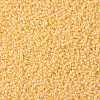 TOHO 11/0 Round Beads SEED-TR11-0903-2