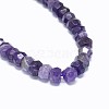 Natural Amethyst Beads Strands G-F632-13A-02-2