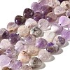 Natural Amethyst Beads Strands G-R190-10mm-50-2