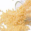 TOHO 11/0 Round Beads X-SEED-TR11-0903-1