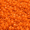 TOHO 6/0 Round Beads X-SEED-TR06-0042D-4