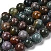 Natural Indian Agate Beads Strands G-G515-12mm-05-4