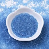 MIYUKI Delica Beads SEED-MY11-DB0113-2