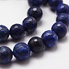 Natural Lapis Lazuli Beads Strands G-D840-38-6mm-3