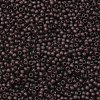 TOHO Round Seed Beads X-SEED-TR11-0006CF-2