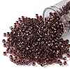 TOHO Round Seed Beads SEED-JPTR08-0746-1