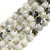 Natural Moonstone Beads Strand G-I376-D81-01-1